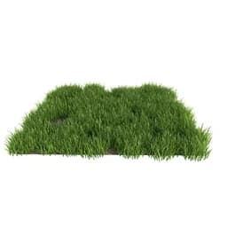 三维模型与材质研究 — 植物草地 (146)