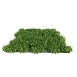 三维模型与材质研究 — 植物草地 (147)