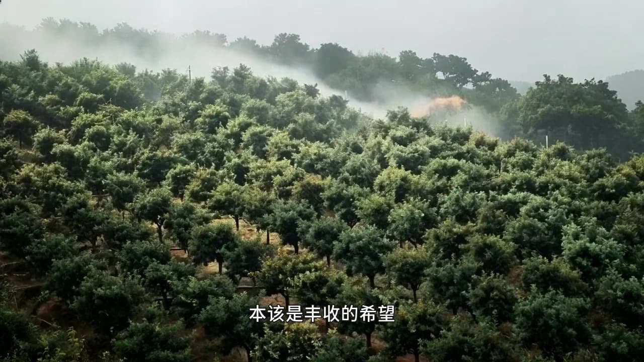 路与心的抉择 — 路与心的抉择-